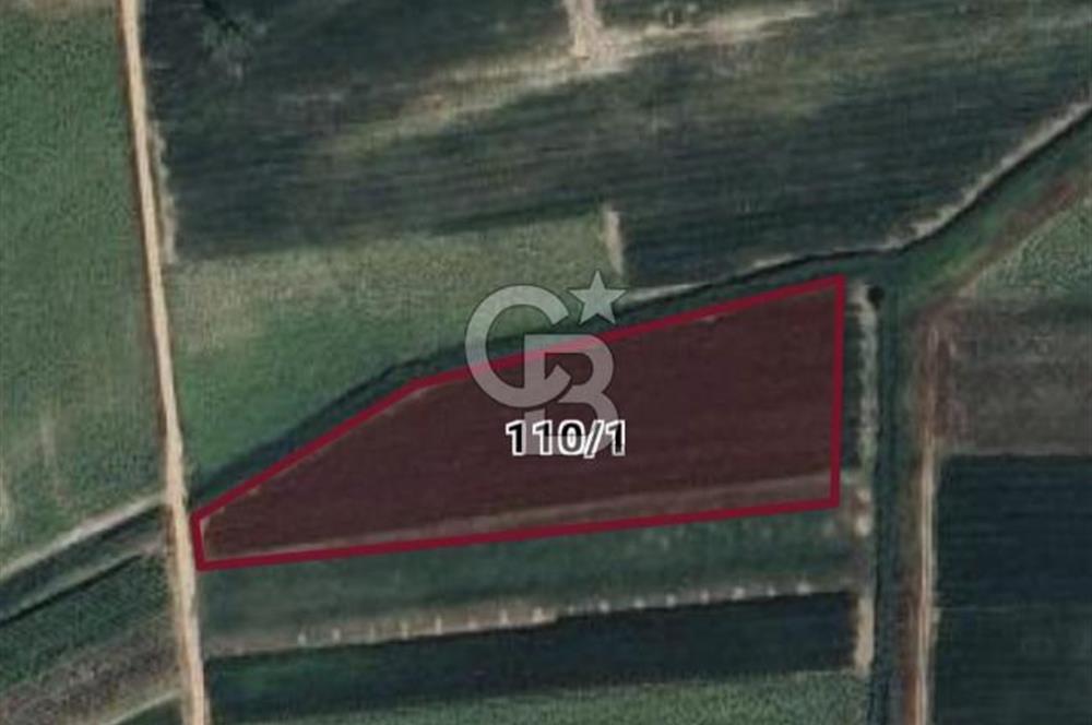 Burak Kul'dan Bursa Marmaracıkta 9308m2 Tek Tapu Fırsat Tarla 
