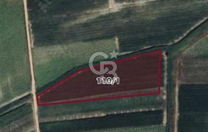 Burak Kul'dan Bursa Marmaracıkta 9308m2 Tek Tapu Fırsat Tarla 