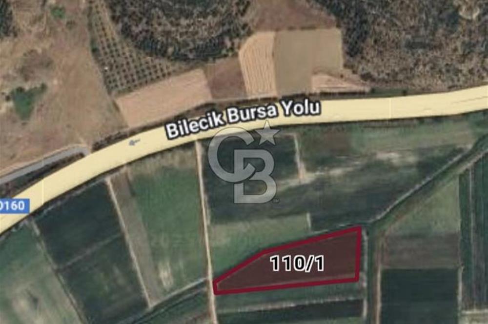 Burak Kul'dan Bursa Marmaracıkta 9308m2 Tek Tapu Fırsat Tarla 