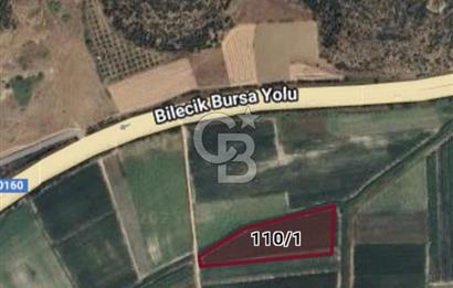 Burak Kul'dan Bursa Marmaracıkta 9308m2 Tek Tapu Fırsat Tarla 