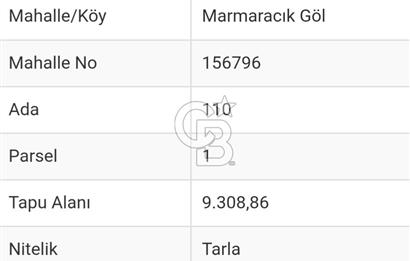 Burak Kul'dan Bursa Marmaracıkta 9308m2 Tek Tapu Fırsat Tarla 