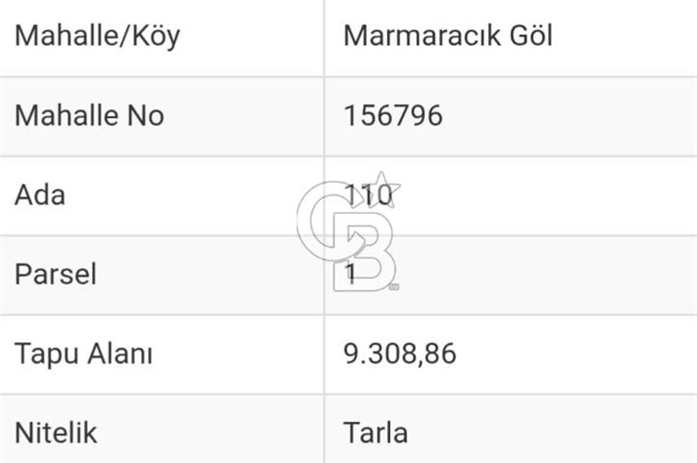 Burak Kul'dan Bursa Marmaracıkta 9308m2 Tek Tapu Fırsat Tarla 