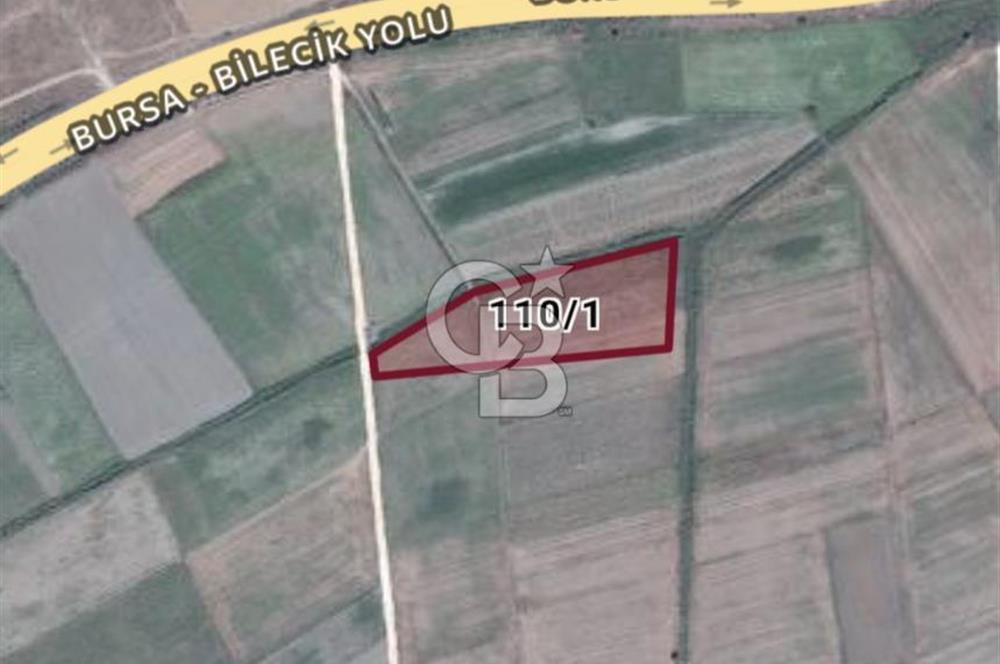 Burak Kul'dan Bursa Marmaracıkta 9308m2 Tek Tapu Fırsat Tarla 