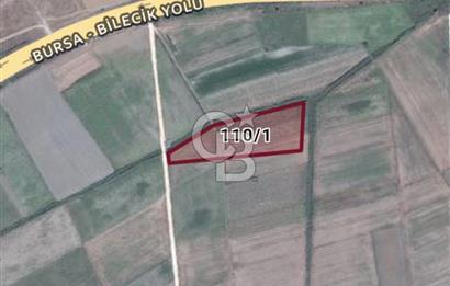 Burak Kul'dan Bursa Marmaracıkta 9308m2 Tek Tapu Fırsat Tarla 