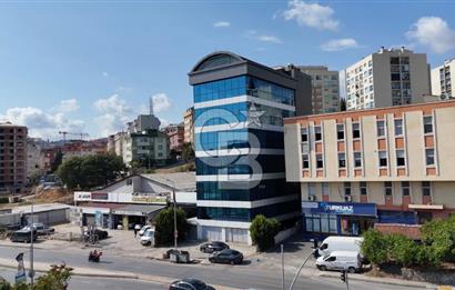 İstanbul Pendik Dolayoba'da Kiralık 2000 m2 Komple Plaza