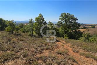 ÇANAKKALE BİGA'DA 22.300 m2 ARAZİ