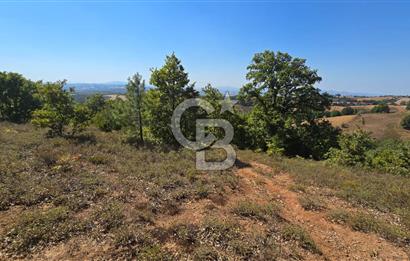 ÇANAKKALE BİGA'DA 22.300 m2 ARAZİ