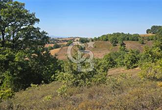 Çanakkale'de 16.000 m2 Arazi