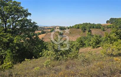 Çanakkale'de 16.000 m2 Arazi