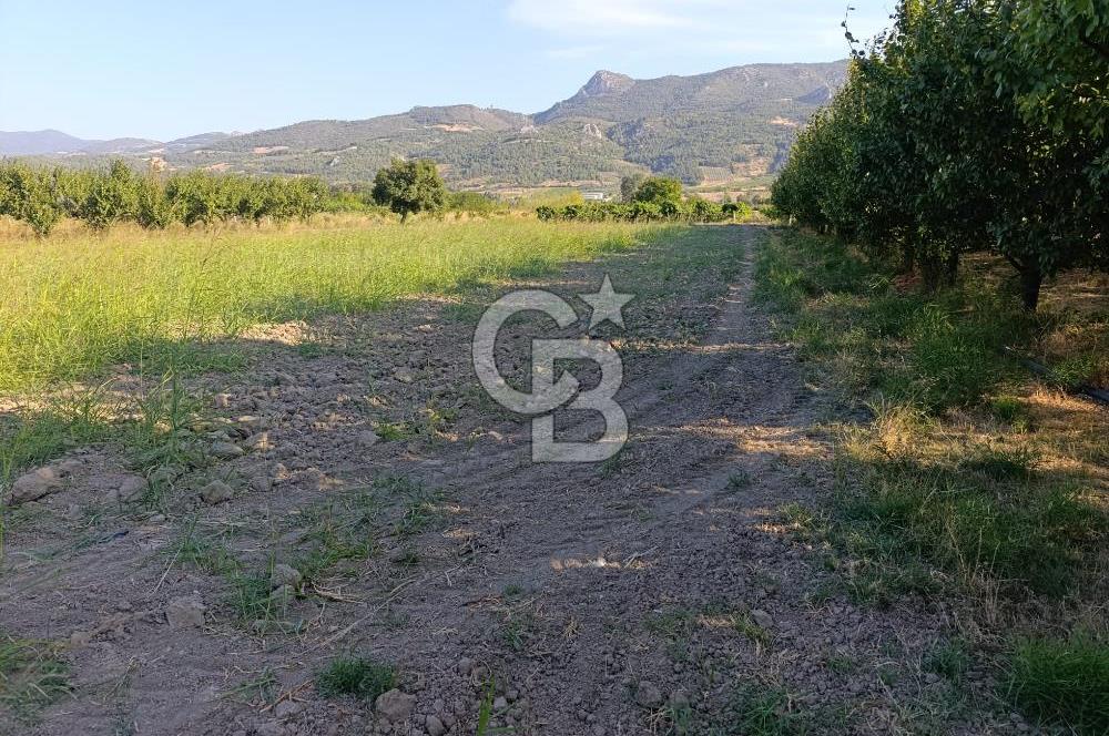 SAKARYA PAMUKOVA CİHADİYE MAHALLESİNDE SATILIK TARLA