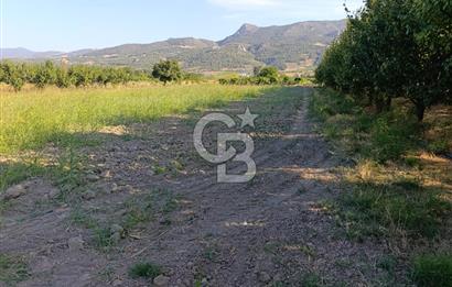 SAKARYA PAMUKOVA CİHADİYE MAHALLESİNDE SATILIK TARLA