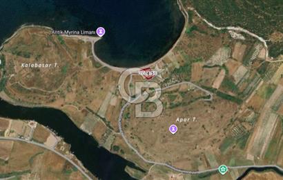 Denize Sıfır: Kamp, Balıkçılık ve Tarıma Uygun Müstakil 2.356 m2