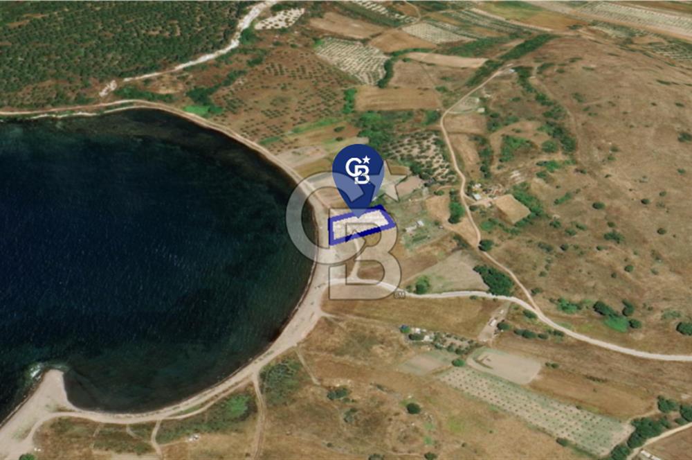 Denize Sıfır: Kamp, Balıkçılık ve Tarıma Uygun Müstakil 2.356 m2