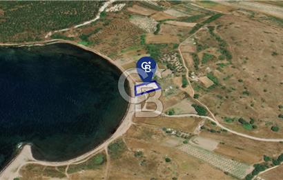 Denize Sıfır: Kamp, Balıkçılık ve Tarıma Uygun Müstakil 2.356 m2