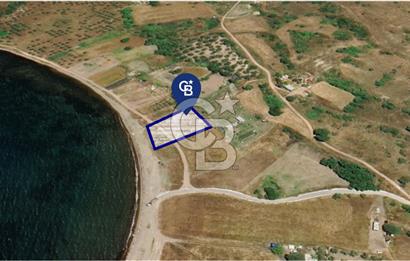 Denize Sıfır: Kamp, Balıkçılık ve Tarıma Uygun Müstakil 2.356 m2