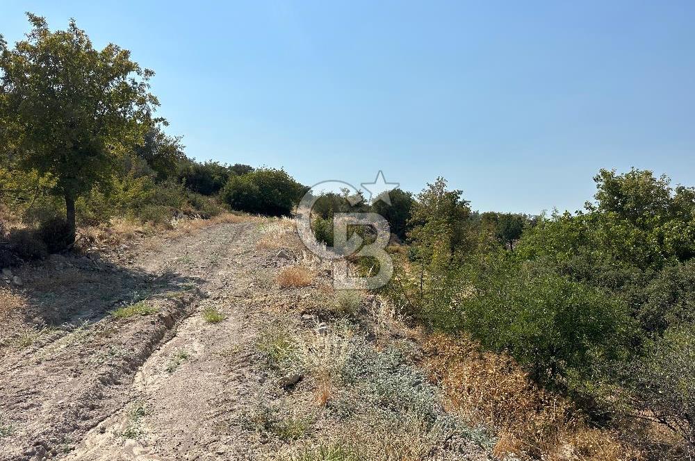 İzmir Menemen Satılık İmarlı Arsa