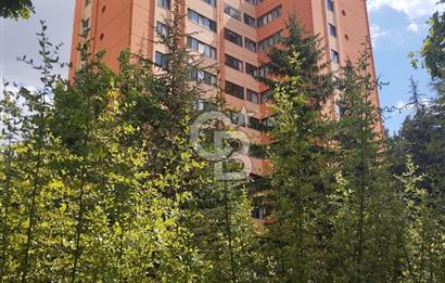 ANKARA ÇANKAYA ÇİĞDEM MAHALLESİ GÖKKUŞAĞI SİTESİ KİRALIK DAİRE