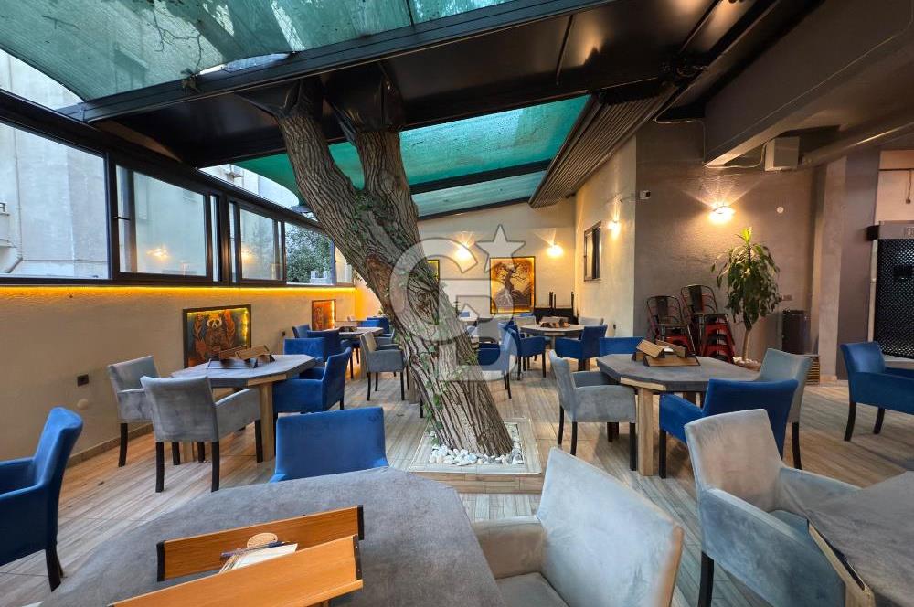 CB KiNG DEN NEF KARŞISI DEVREN KİRALIK CAFE