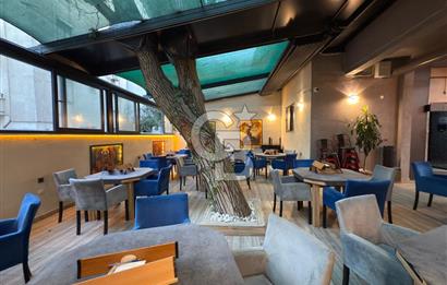 CB KiNG DEN NEF KARŞISI DEVREN KİRALIK CAFE