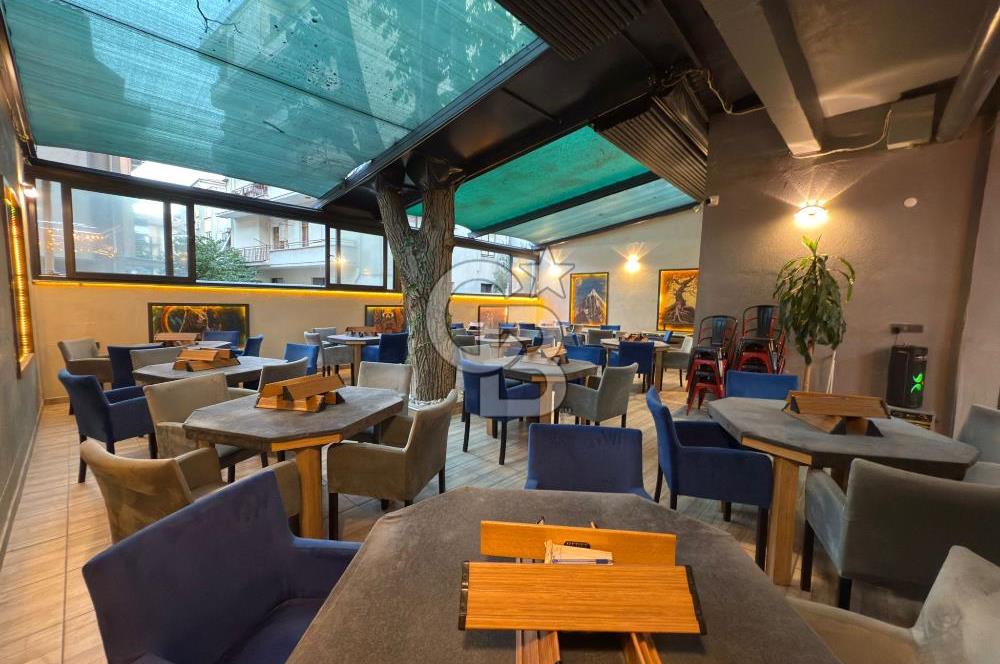 CB KiNG DEN NEF KARŞISI DEVREN KİRALIK CAFE