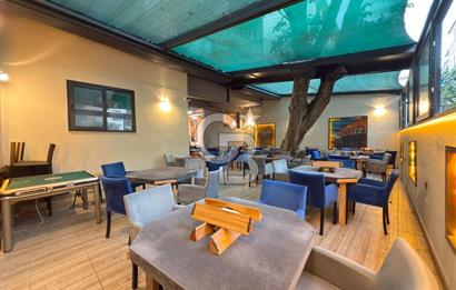 CB KiNG DEN NEF KARŞISI DEVREN KİRALIK CAFE