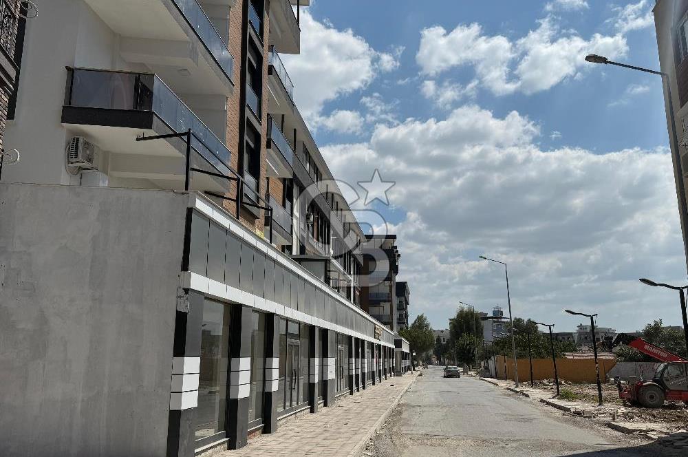 Seyrek Merkezde Kiralık 1+1 Daire