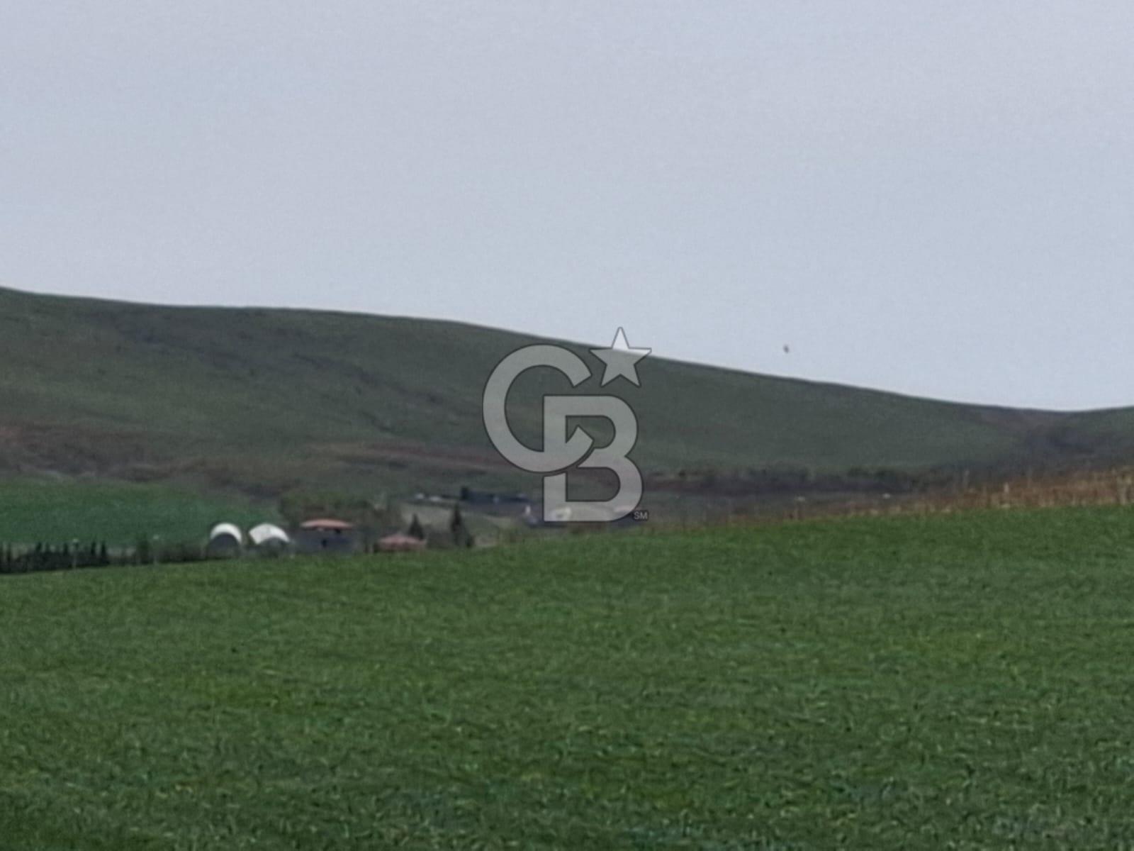 GÖLBAŞI MAHMATLI SATILIK TARLA