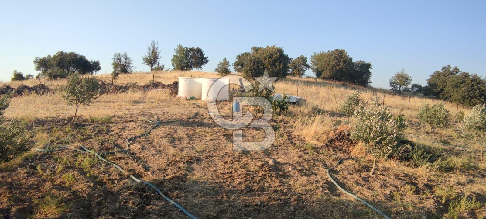 OSMANCALI' DA MANZARALI, FERAH HER TÜRLÜ EKİME UYGUN TARLA