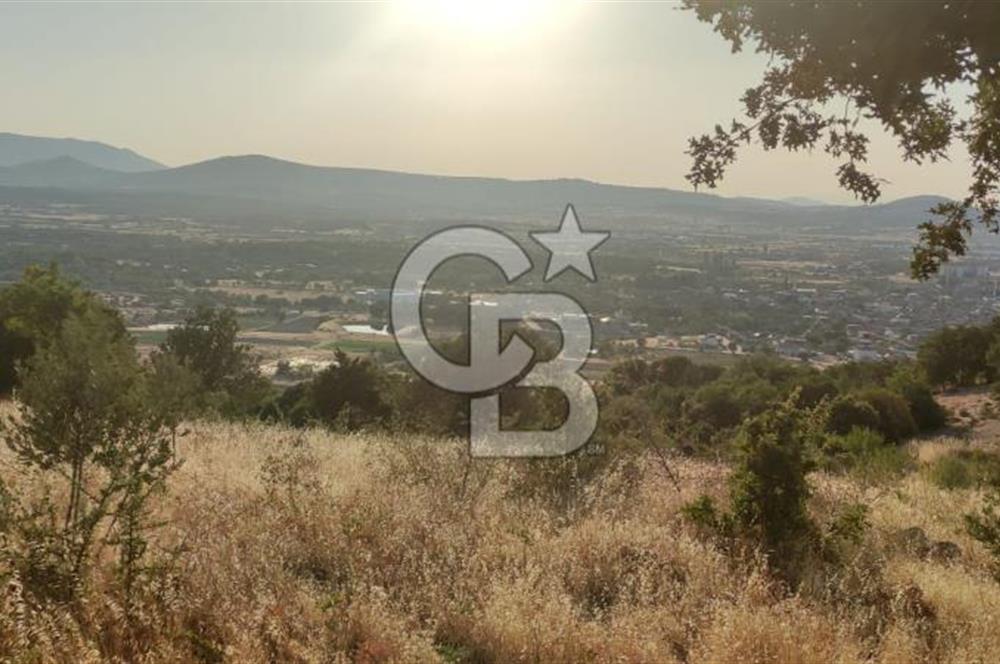OSMANCALI' DA MANZARALI, FERAH HER TÜRLÜ EKİME UYGUN TARLA