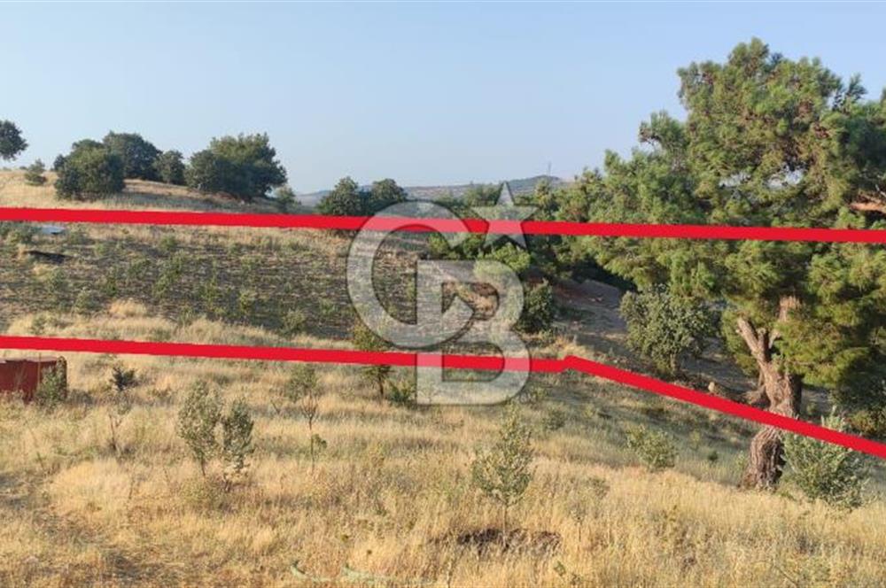 OSMANCALI' DA MANZARALI, FERAH HER TÜRLÜ EKİME UYGUN TARLA