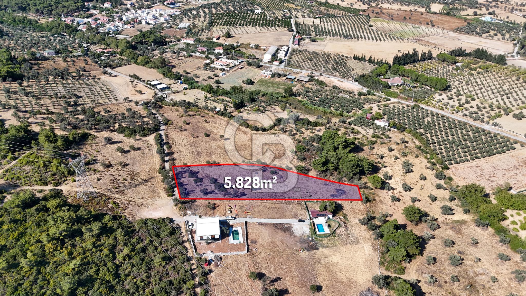 TEOK'TAN SEFERİHİSAR İHSANİYE'DE YOLA CEPHELİ TARLA