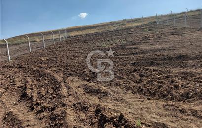 GÖLBAŞI GÜNALAN SATILIK ARSA