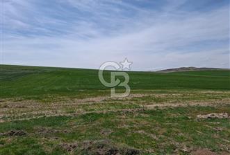 GÖLBAŞI MAHMATLI SATILIK TARLA