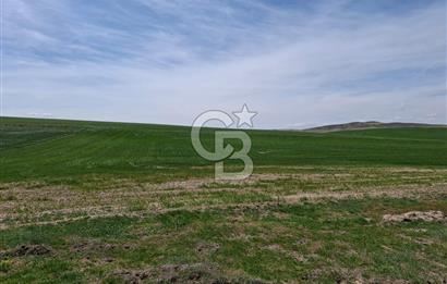 GÖLBAŞI MAHMATLI SATILIK TARLA