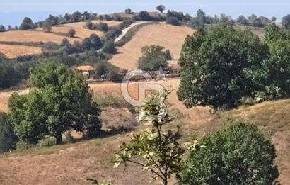 ÇANAKKALE BİGA'DA 19.000 m2 ARAZİ