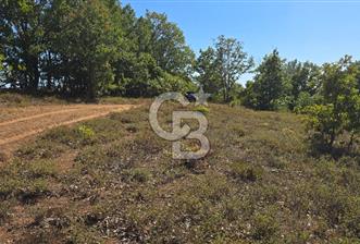 ÇANAKKALE BİGA'DA 19.000 m2 ARAZİ