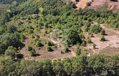 Çanakkale Biga'da 14.000 m2 Müstakil Arazi