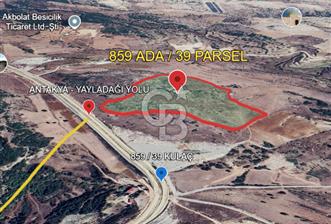 YAYLADAĞI-KULAÇ MAH'DE 77.681 M2 ANA YOLA YAKIN SATILIK TARLA