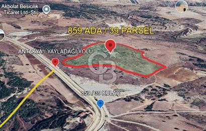 YAYLADAĞI-KULAÇ MAH'DE 77.681 M2 ANA YOLA YAKIN SATILIK TARLA