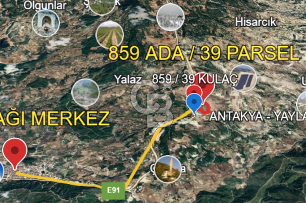 YAYLADAĞI-KULAÇ MAH'DE 77.681 M2 ANA YOLA YAKIN SATILIK TARLA
