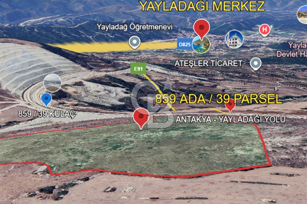 YAYLADAĞI-KULAÇ MAH'DE 77.681 M2 ANA YOLA YAKIN SATILIK TARLA