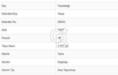 YAYLADAĞI-YALAZ MAH'DE 20 DÖNÜM MÜSTAKİL TAPULU SATILIK TARLA