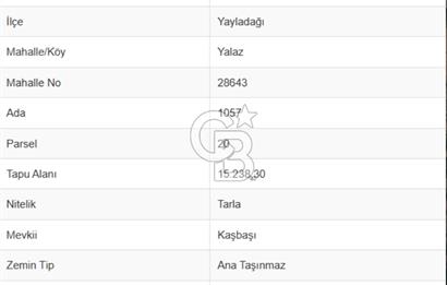 YAYLADAĞI-YALAZ MAH'DE 20 DÖNÜM MÜSTAKİL TAPULU SATILIK TARLA