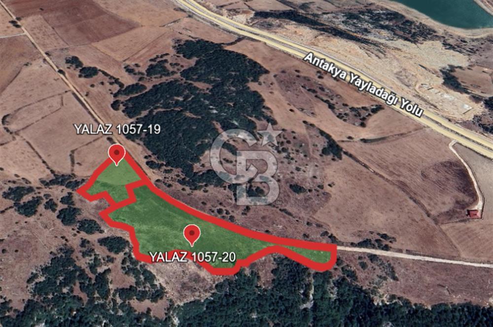 YAYLADAĞI-YALAZ MAH'DE 20 DÖNÜM MÜSTAKİL TAPULU SATILIK TARLA