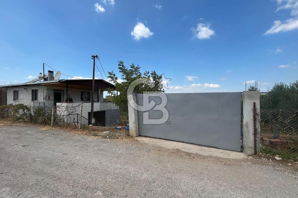 İzmir Torbalı Demirci Köy İçinde Satılık Tarla
