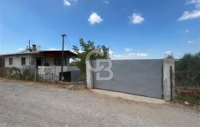 İzmir Torbalı Demirci Köy İçinde Satılık Tarla
