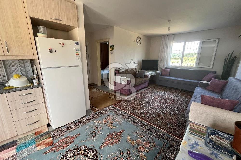 İzmir Torbalı Demirci Köy İçinde Satılık Tarla