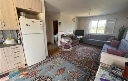 İzmir Torbalı Demirci Köy İçinde Satılık Tarla