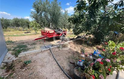İzmir Torbalı Demirci Köy İçinde Satılık Tarla