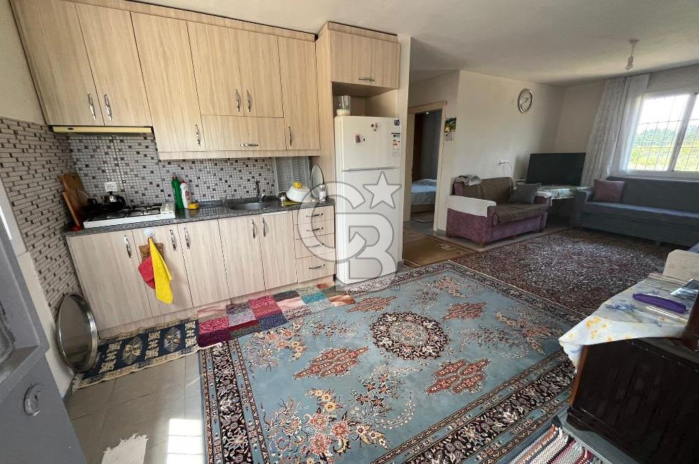 İzmir Torbalı Demirci Köy İçinde Satılık Tarla